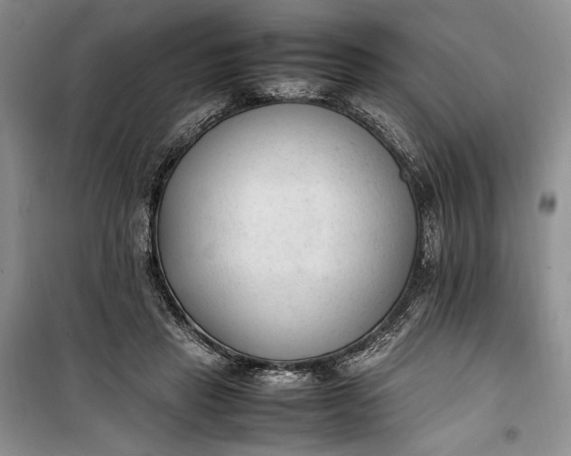 X0000100190453200806131211