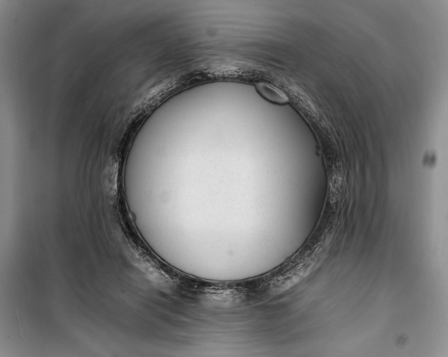 X0000100190454200806131211