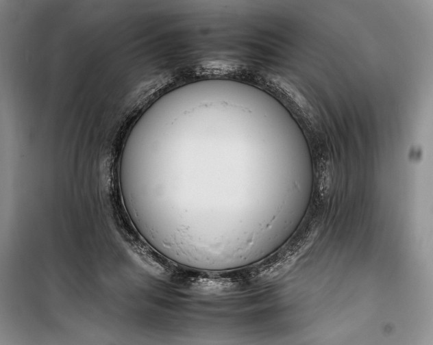 X0000100190455200806131211