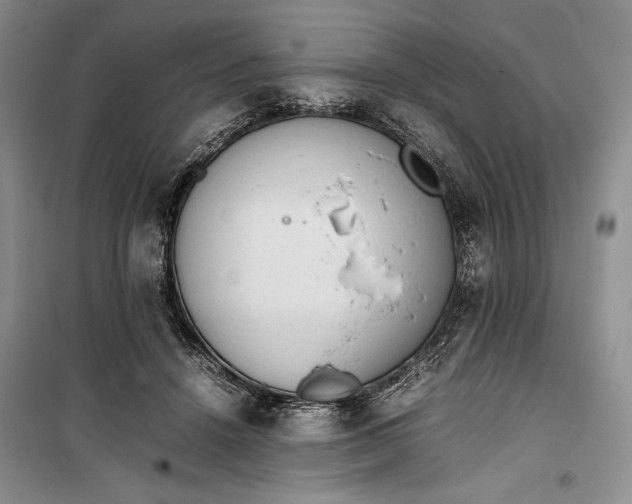 X0000100190456200806131211