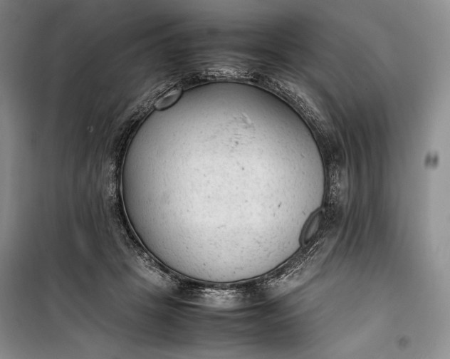 X0000100190457200806131211