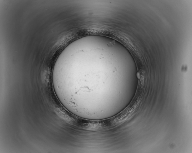 X0000100190458200806131211