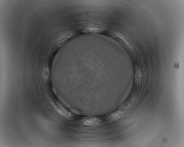 X0000100190459200806131211