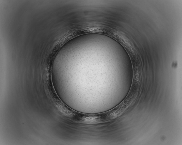 X0000100190461200806131211