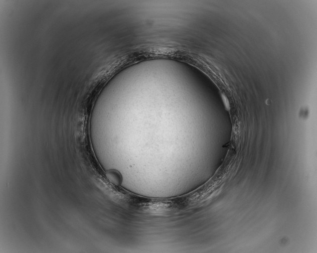 X0000100190462200806131211