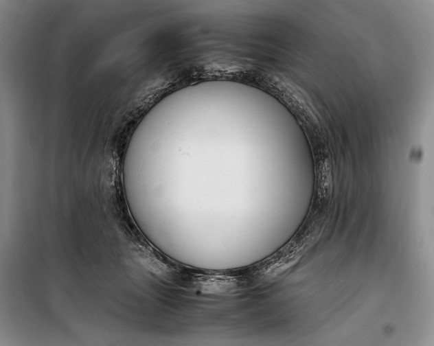 X0000100190463200806131211