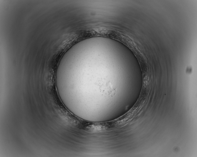 X0000100190464200806131211