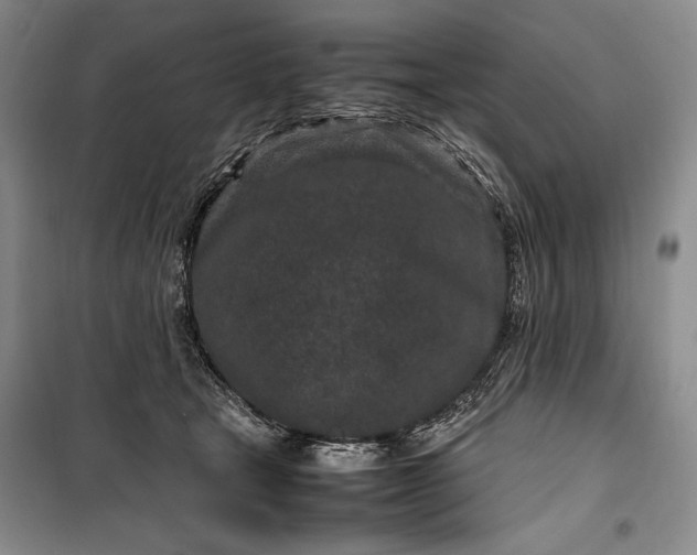 X0000100190465200806131211