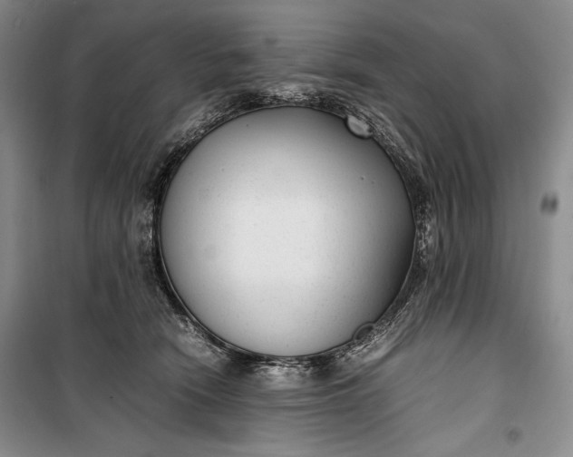 X0000100190466200806131211