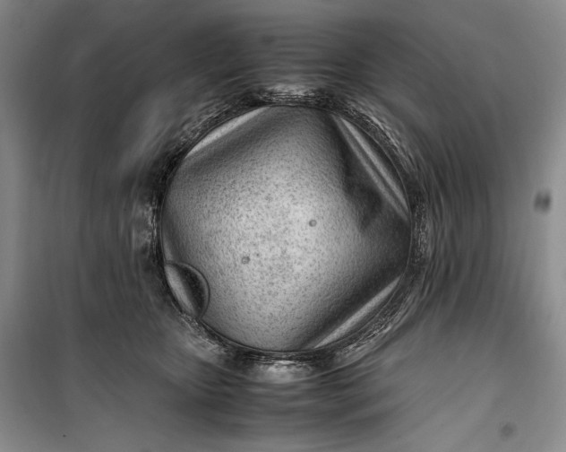 X0000100190467200806131211