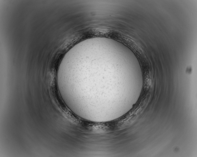 X0000100190468200806131211