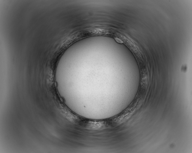 X0000100190469200806131211