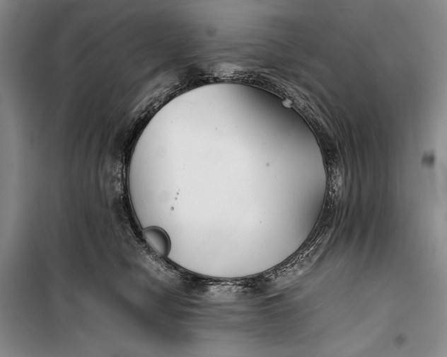 X0000100190470200806131211