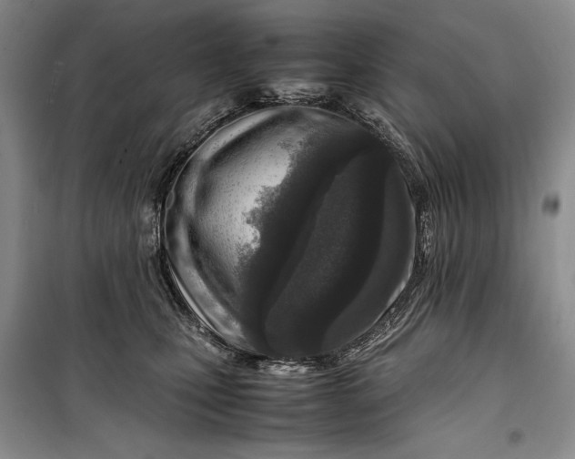 X0000100190471200806131211