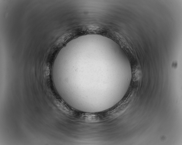 X0000100190472200806131211