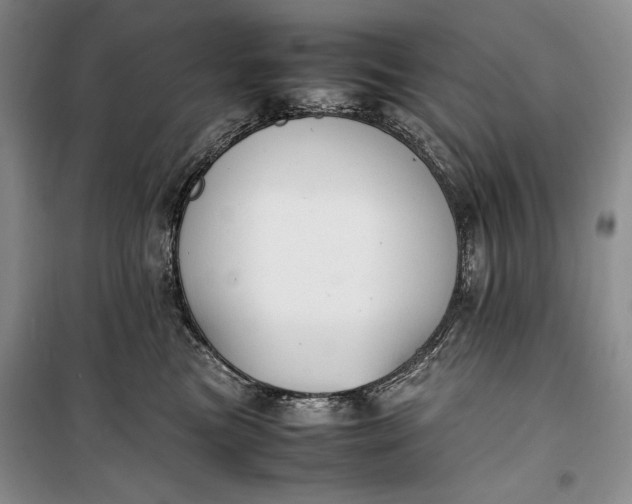 X0000100190473200806131211