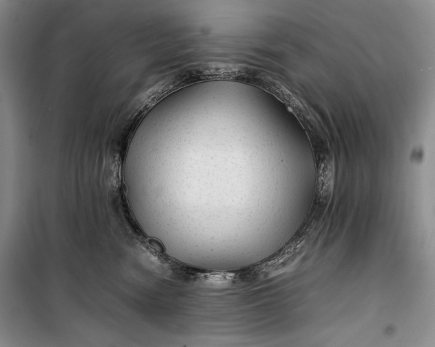 X0000100190474200806131211