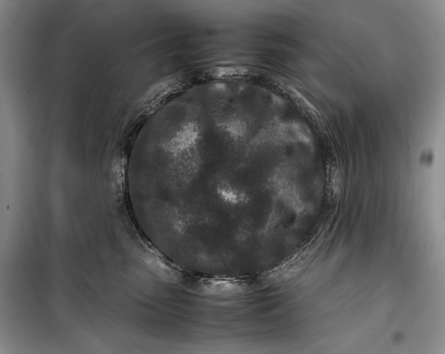 X0000100190475200806131211