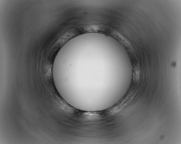 X0000100190477200806131211