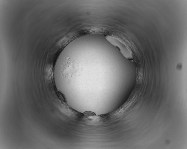 X0000100190478200806131211