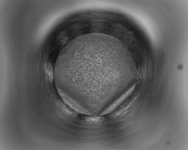 X0000100190479200806131212