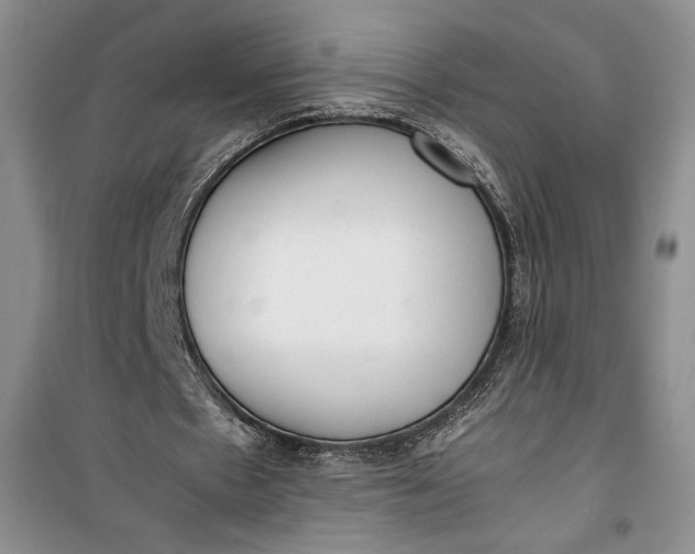 X0000100190481200806131211