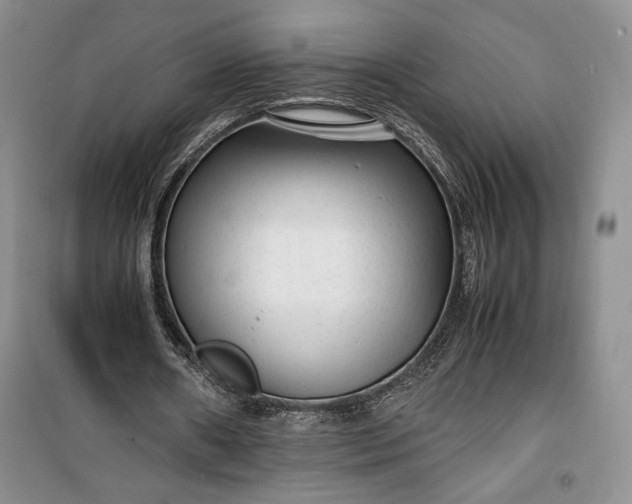 X0000100190482200806131211