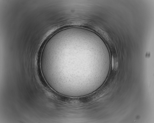 X0000100190483200806131211