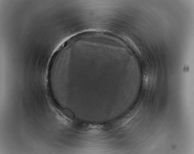 X0000100190484200806131211