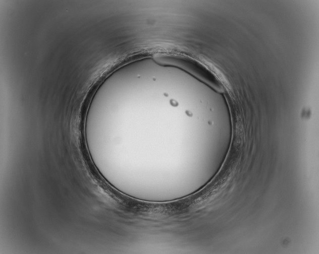 X0000100190485200806131211