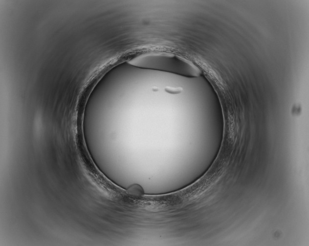 X0000100190486200806131211