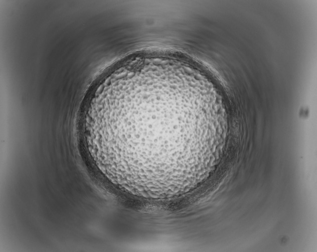 X0000100190487200806131211