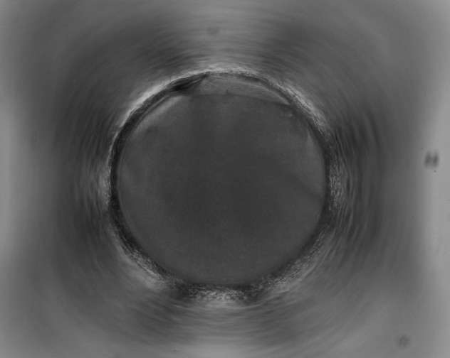 X0000100190488200806131211