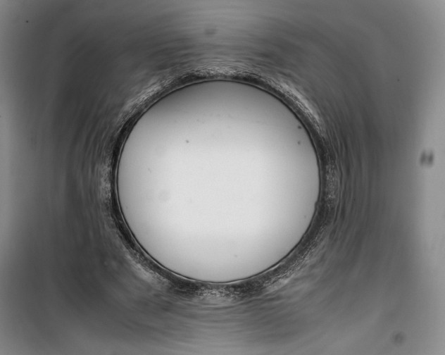 X0000100190489200806131211