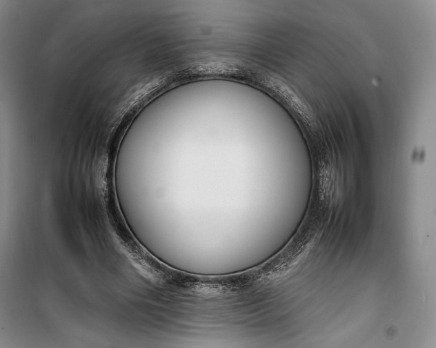 X0000100190490200806131211