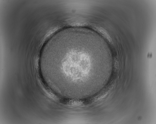 X0000100190491200806131211