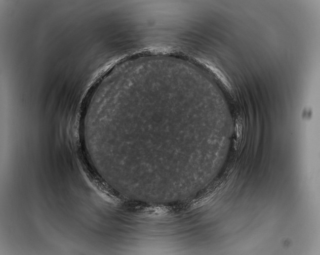 X0000100190492200806131211