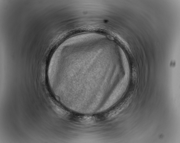 X0000100190493200806131211