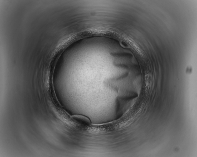 X0000100190494200806131211