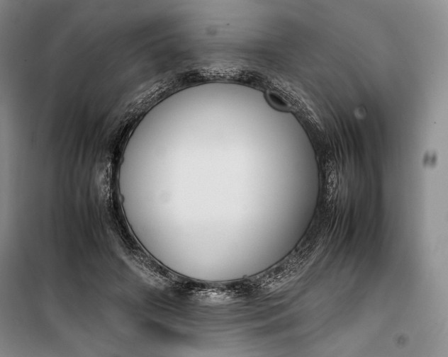 X0000100190498200806131211