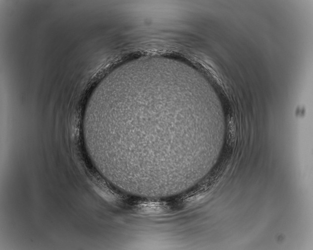 X0000100190499200806131211