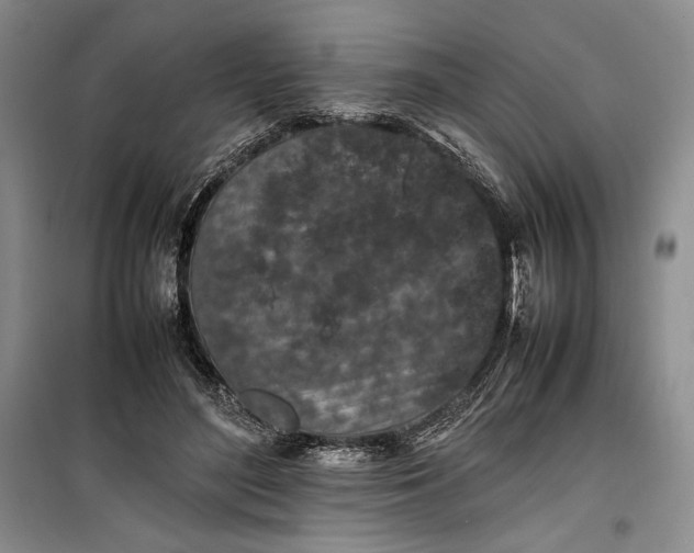 X0000100190500200806131211