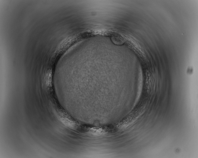 X0000100190502200806131211