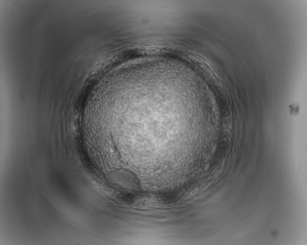 X0000100190503200806131211