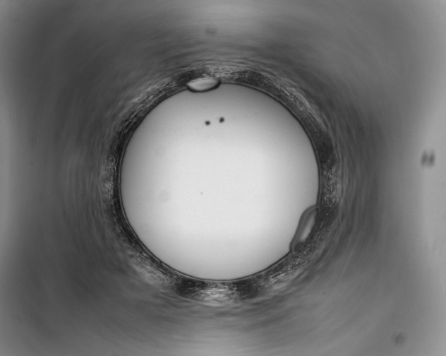 X0000100190505200806131211