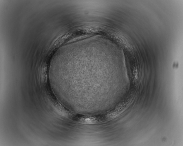 X0000100190506200806131211