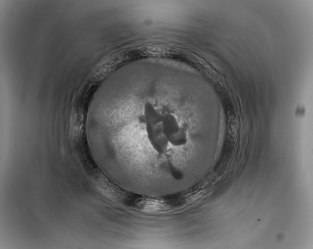 X0000100190507200806131211