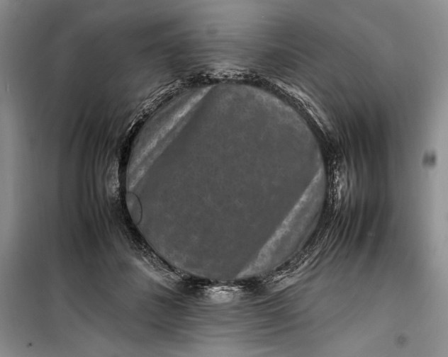 X0000100190508200806131210