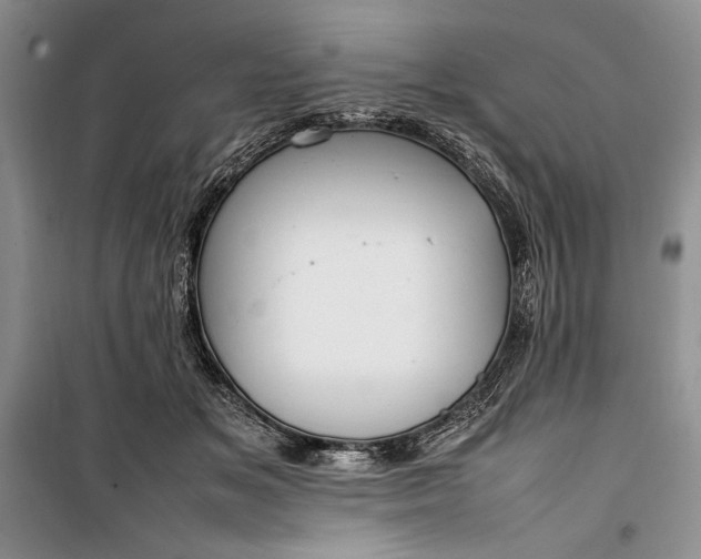 X0000100190509200806131210