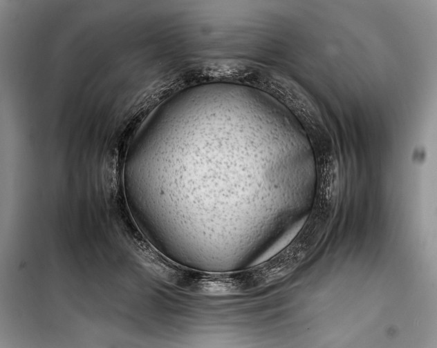 X0000100190510200806131210